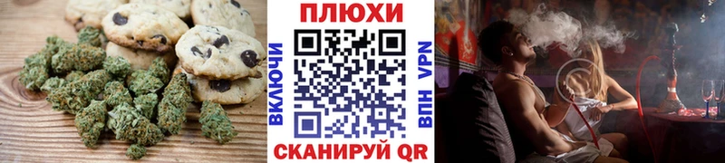 дарнет шоп  Приозерск  Cannafood конопля 