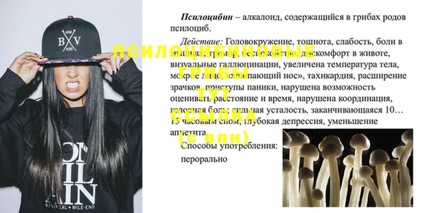 молекула духа Навашино