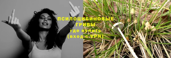 mix Аркадак