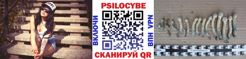 Галлюциногенные грибы Magic Shrooms  hydra ССЫЛКА  мориарти состав  Приозерск 